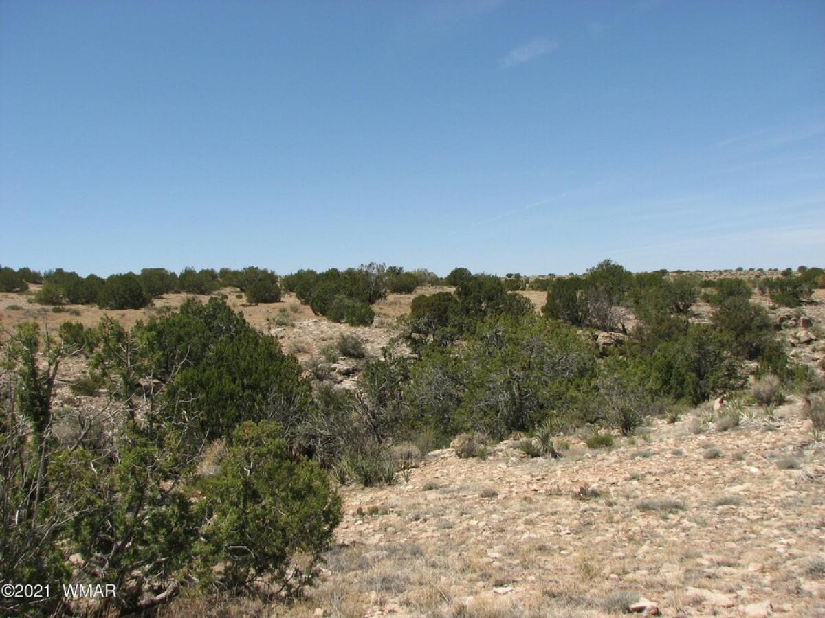 Picture of Residential Land For Sale in Heber, Arizona, United States