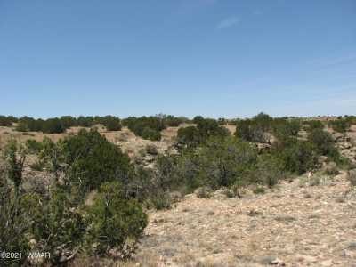 Residential Land For Sale in Heber, Arizona