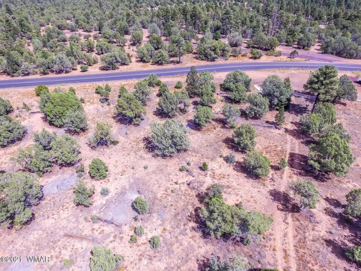 Picture of Residential Land For Sale in Show Low, Arizona, United States