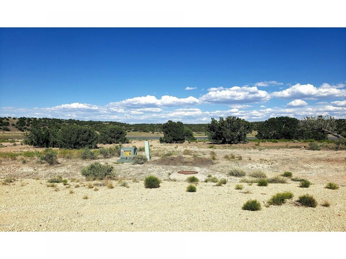 Picture of Residential Land For Sale in Concho, Arizona, United States