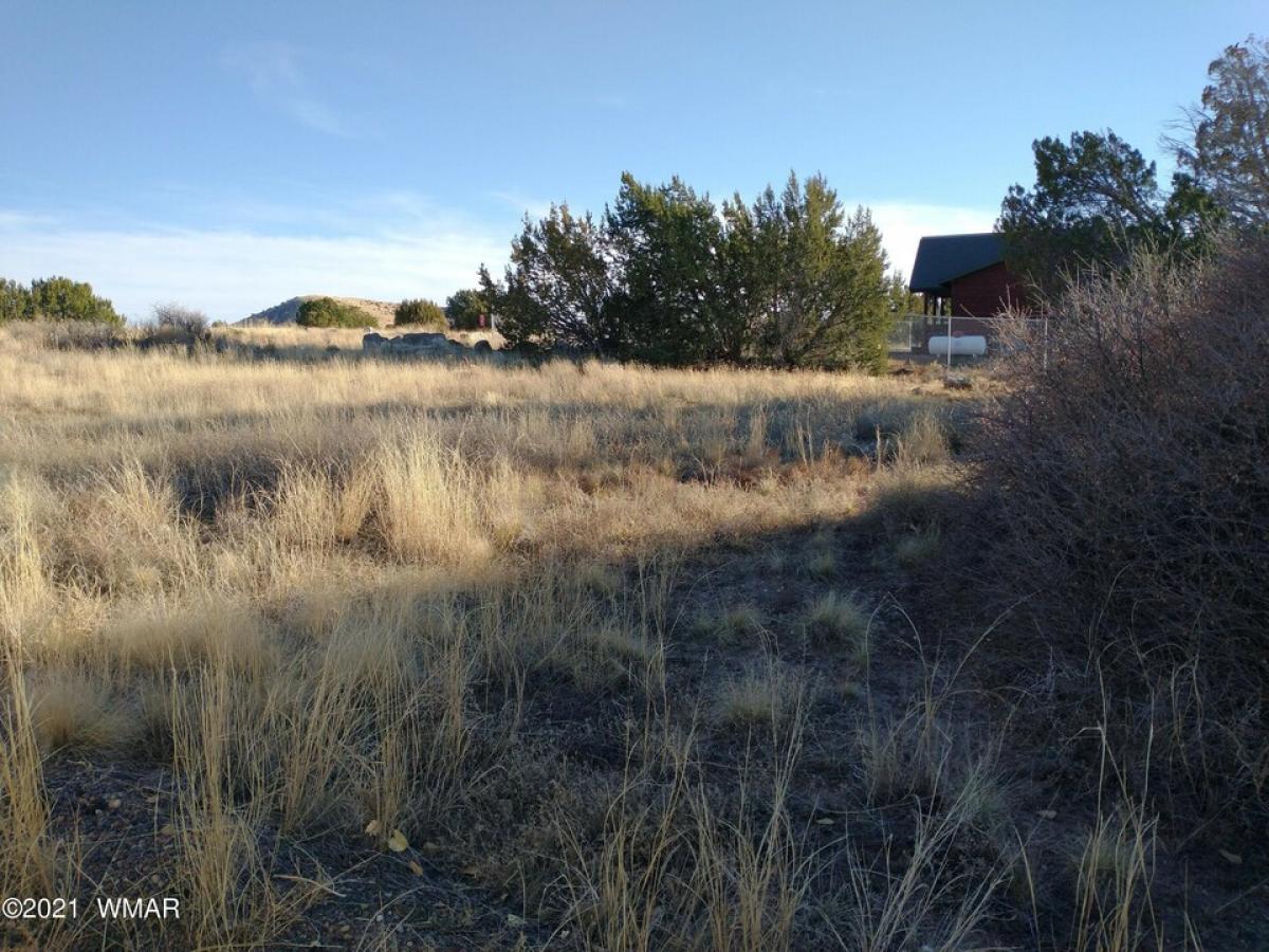 Picture of Residential Land For Sale in Concho, Arizona, United States