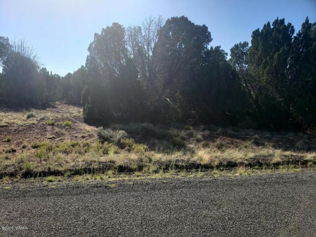 Picture of Residential Land For Sale in Concho, Arizona, United States