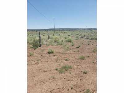 Residential Land For Sale in Concho, Arizona