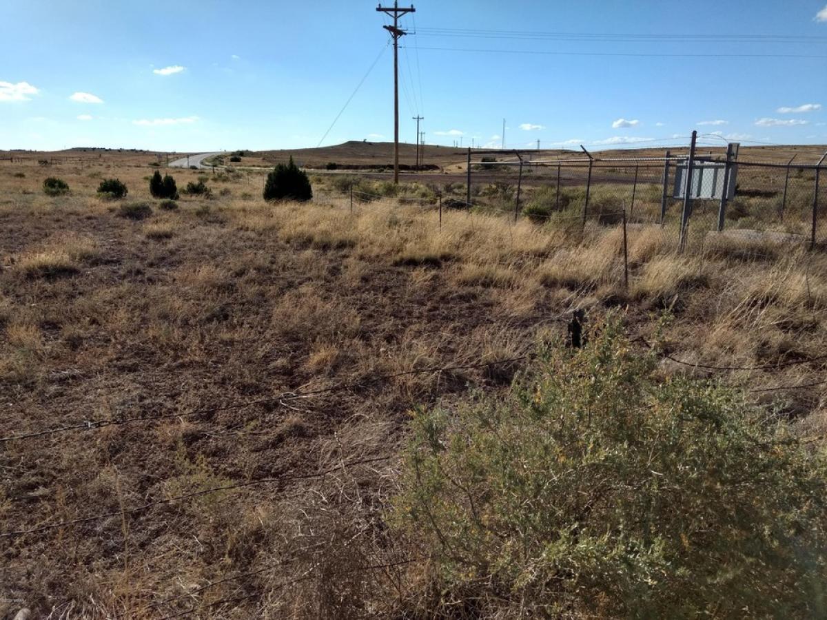 Picture of Residential Land For Sale in Concho, Arizona, United States