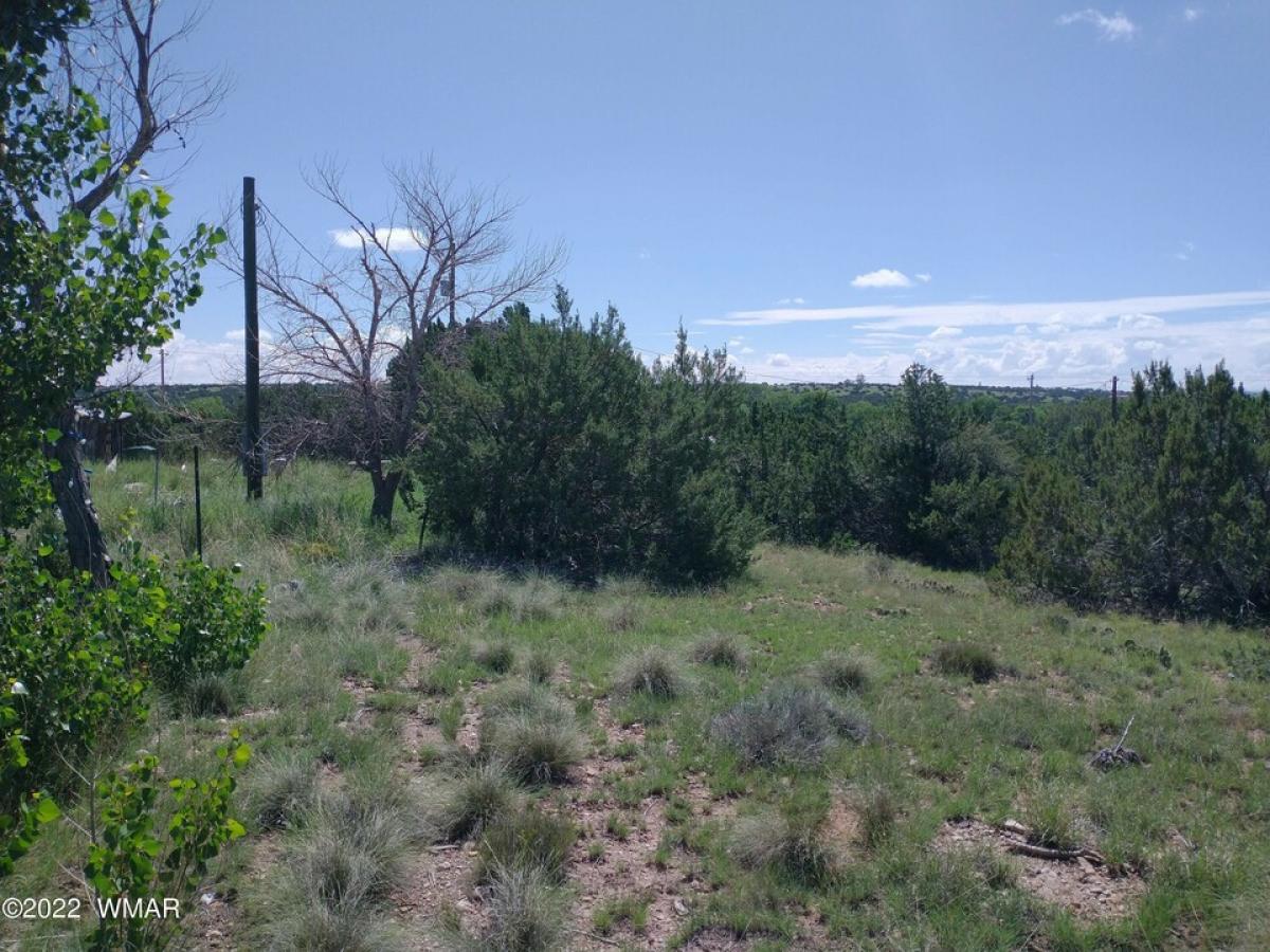 Picture of Residential Land For Sale in Concho, Arizona, United States