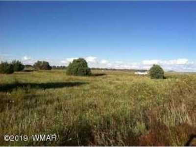 Residential Land For Sale in Show Low, Arizona