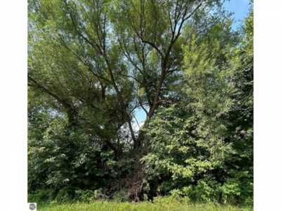 Residential Land For Sale in Alger, Michigan