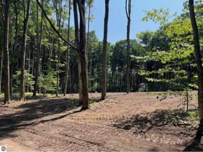 Residential Land For Sale in Maple City, Michigan