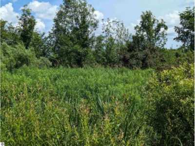 Residential Land For Sale in Turner, Michigan