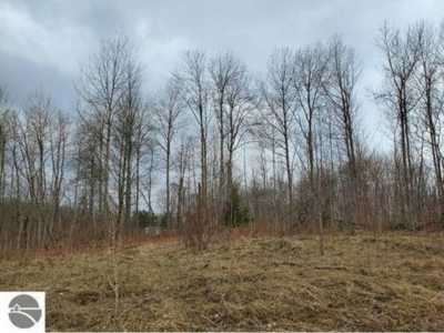 Residential Land For Sale in Hale, Michigan