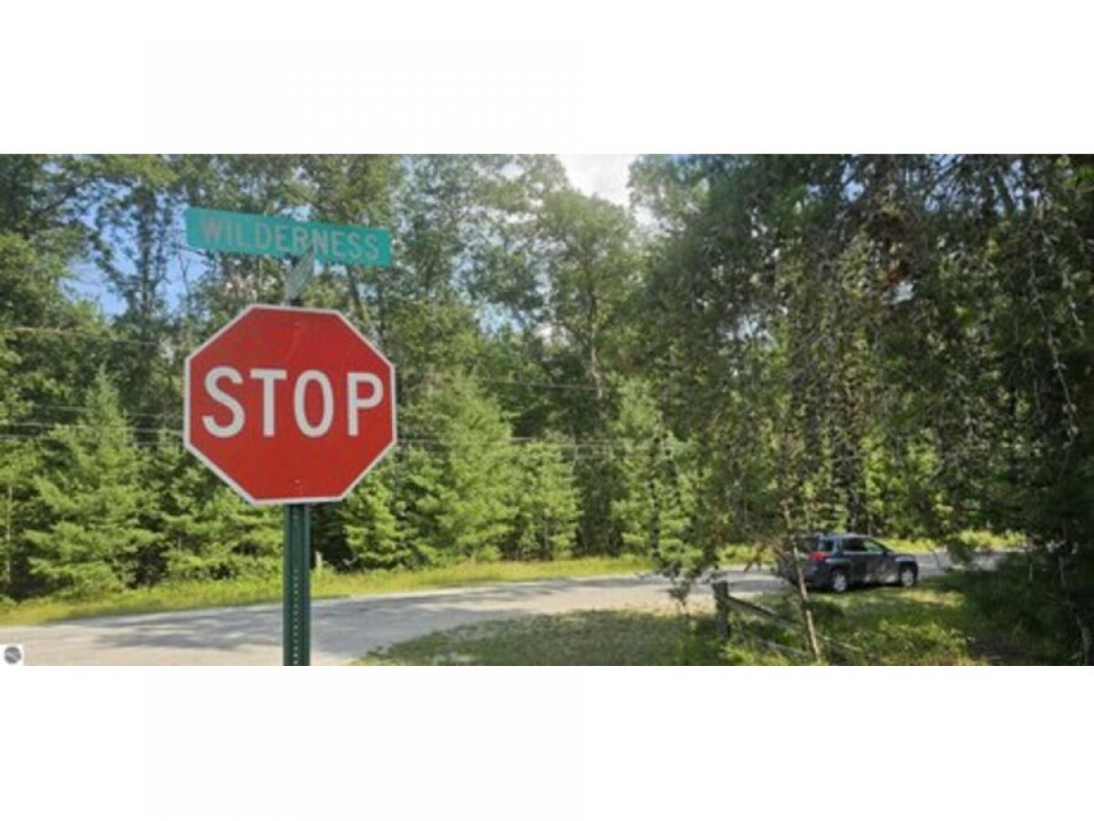 Picture of Residential Land For Sale in Alger, Michigan, United States