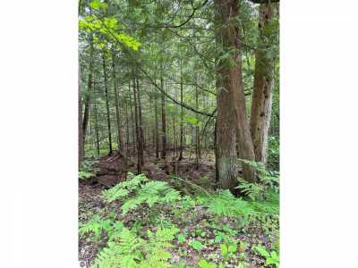 Residential Land For Sale in Kalkaska, Michigan