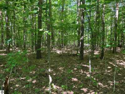 Residential Land For Sale in Empire, Michigan