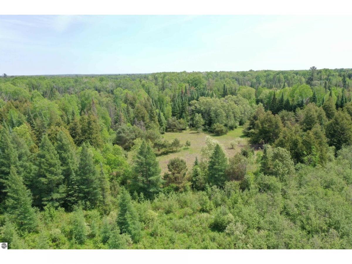 Picture of Residential Land For Sale in West Branch, Michigan, United States