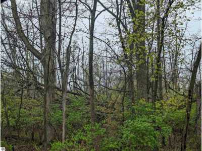 Residential Land For Sale in Omer, Michigan