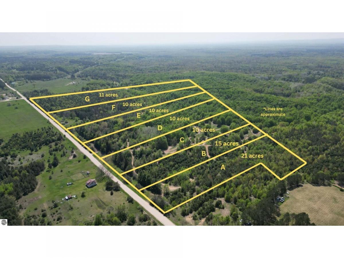 Picture of Residential Land For Sale in Copemish, Michigan, United States