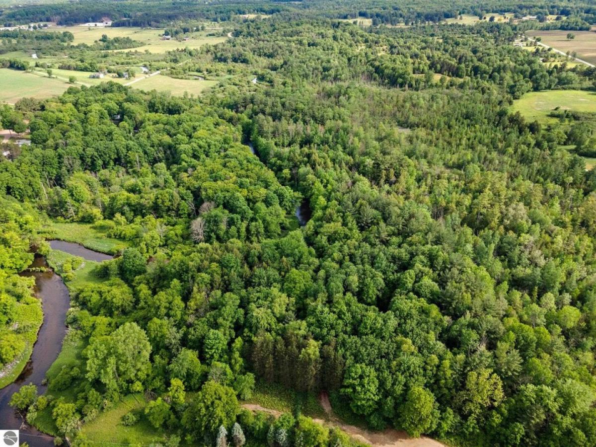 Picture of Residential Land For Sale in Hersey, Michigan, United States