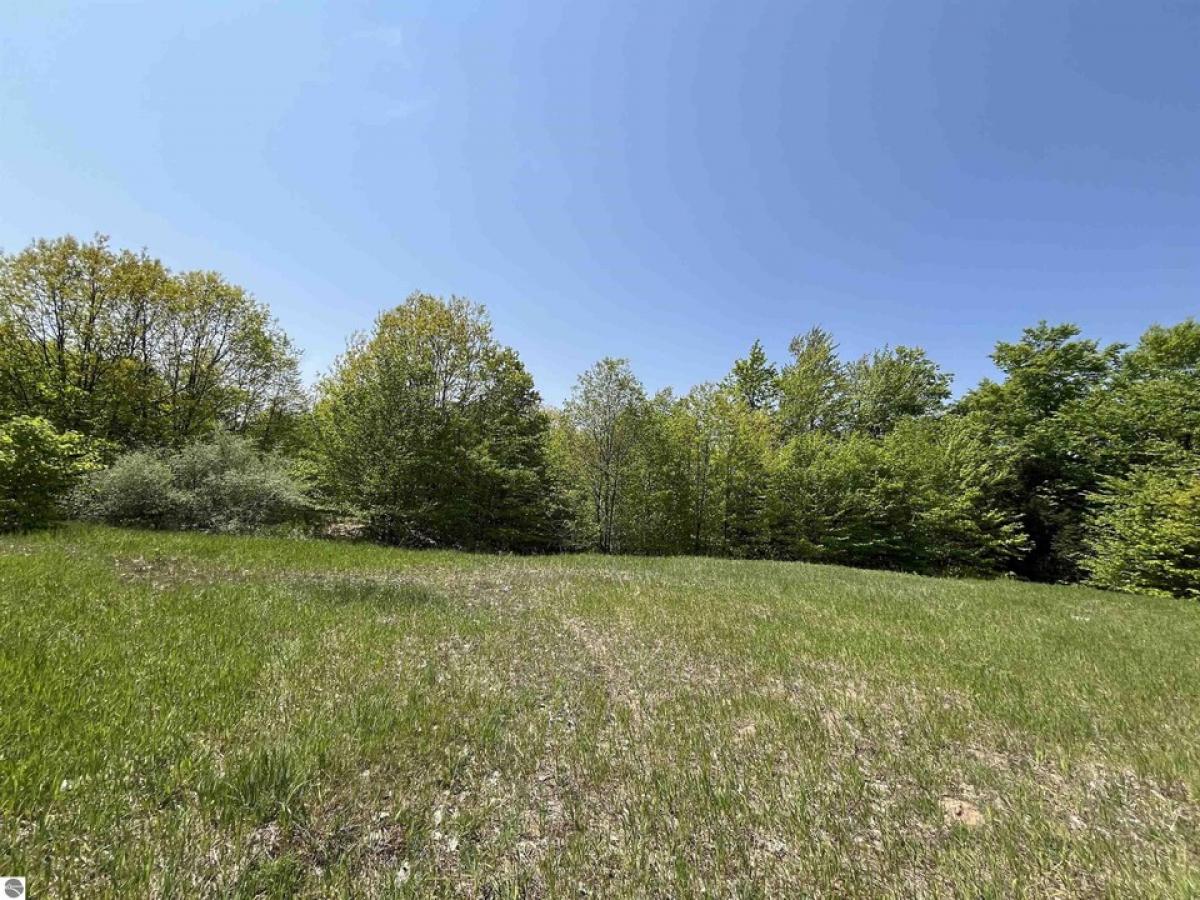 Picture of Residential Land For Sale in Grawn, Michigan, United States