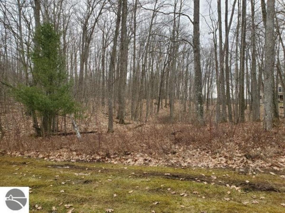 Picture of Residential Land For Sale in West Branch, Michigan, United States