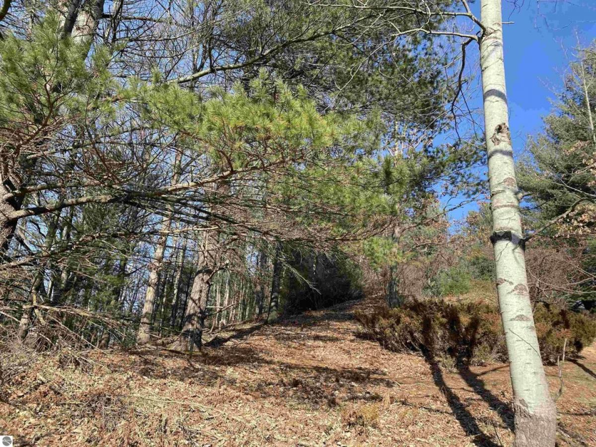 Picture of Residential Land For Sale in Williamsburg, Michigan, United States