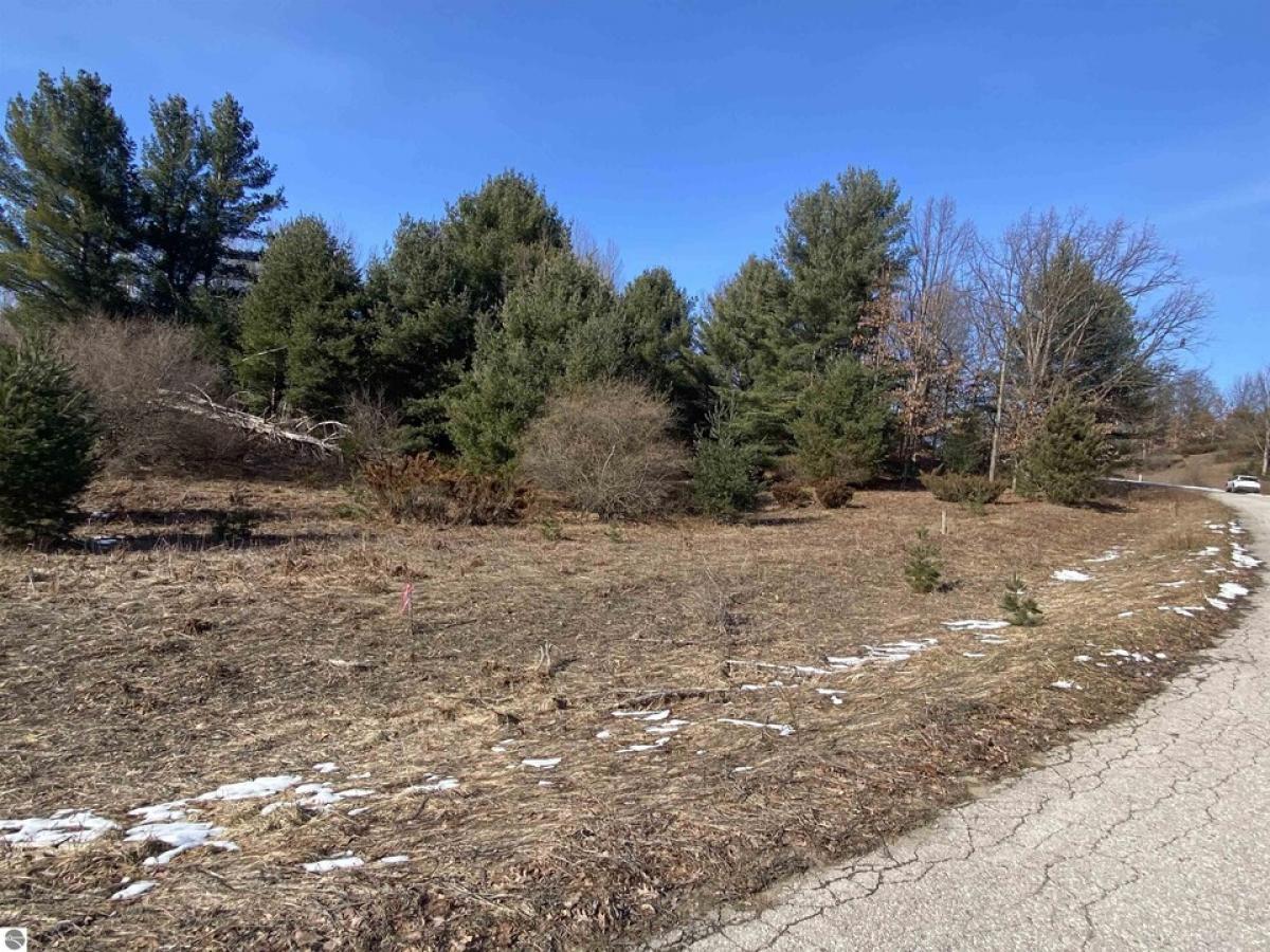 Picture of Residential Land For Sale in Williamsburg, Michigan, United States