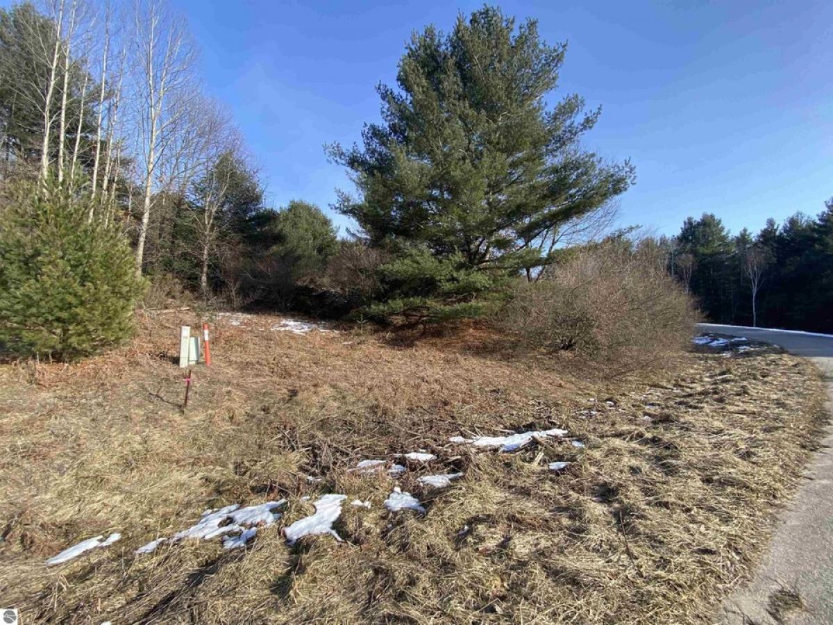 Picture of Residential Land For Sale in Williamsburg, Michigan, United States