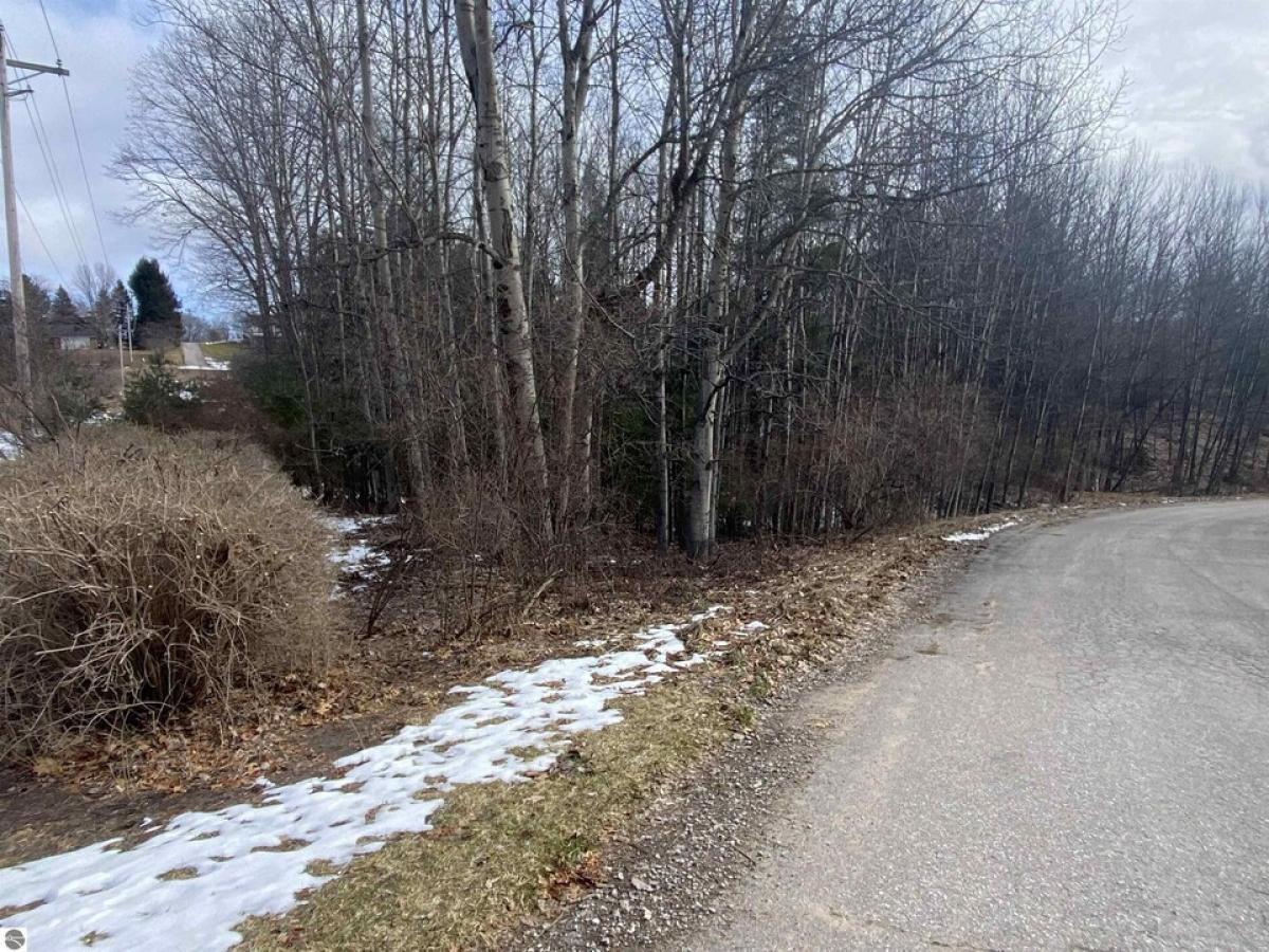 Picture of Residential Land For Sale in Williamsburg, Michigan, United States