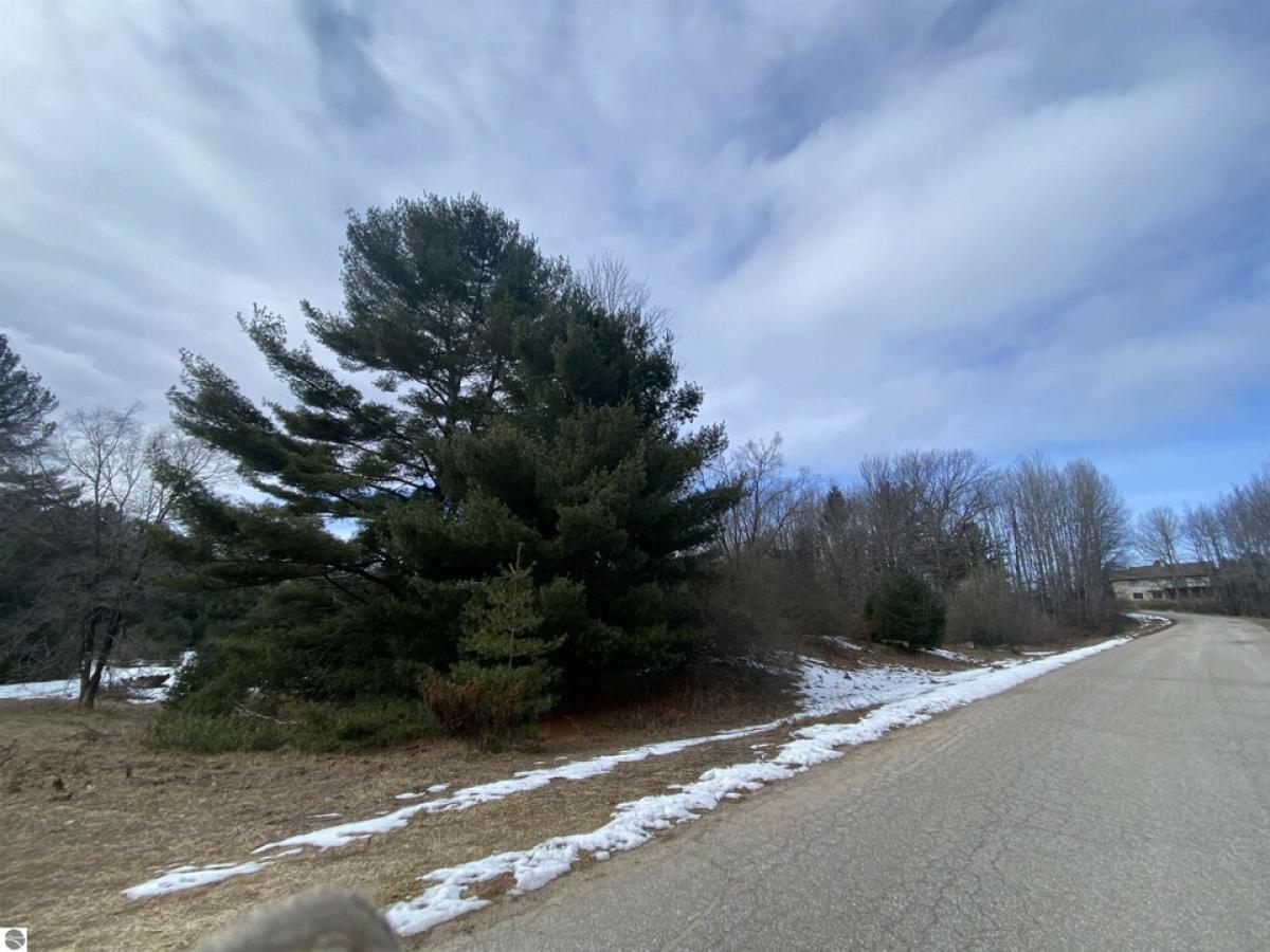 Picture of Residential Land For Sale in Williamsburg, Michigan, United States