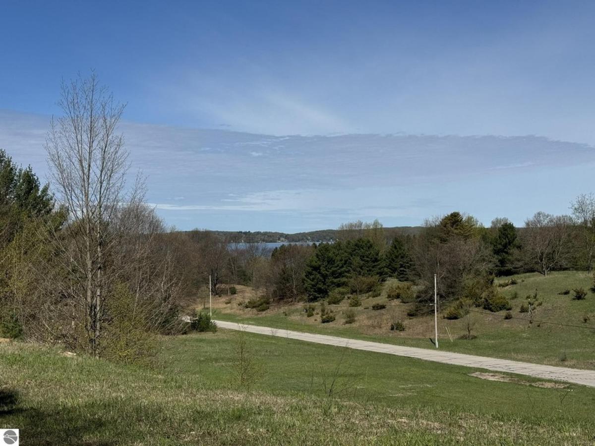 Picture of Residential Land For Sale in Alden, Michigan, United States