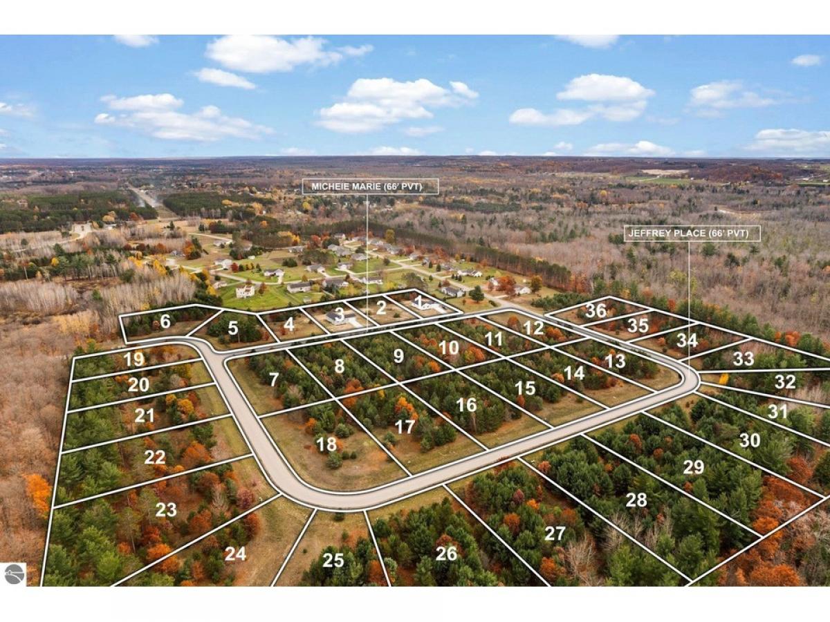 Picture of Residential Land For Sale in Grawn, Michigan, United States