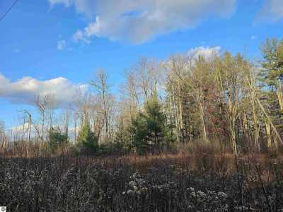 Residential Land For Sale in National City, Michigan