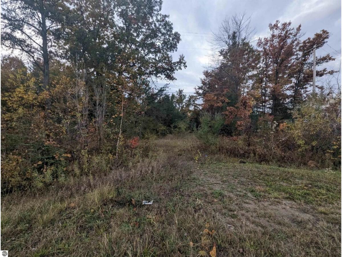 Picture of Residential Land For Sale in Omer, Michigan, United States