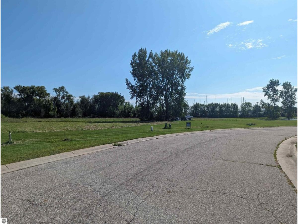 Picture of Residential Land For Sale in Au Gres, Michigan, United States