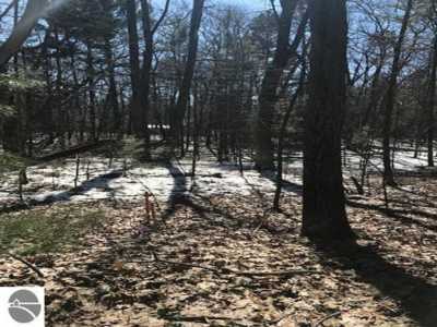 Residential Land For Sale in Au Gres, Michigan