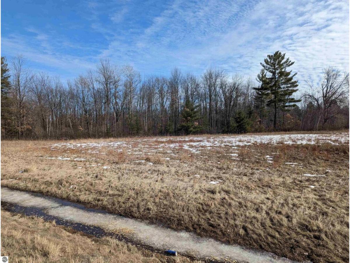 Picture of Residential Land For Sale in Omer, Michigan, United States