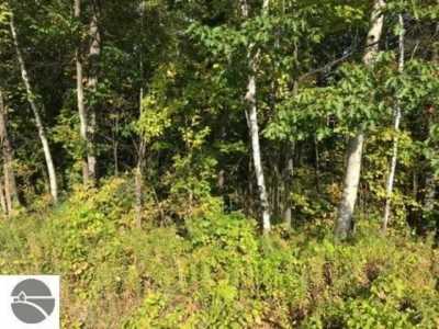 Residential Land For Sale in Tawas City, Michigan