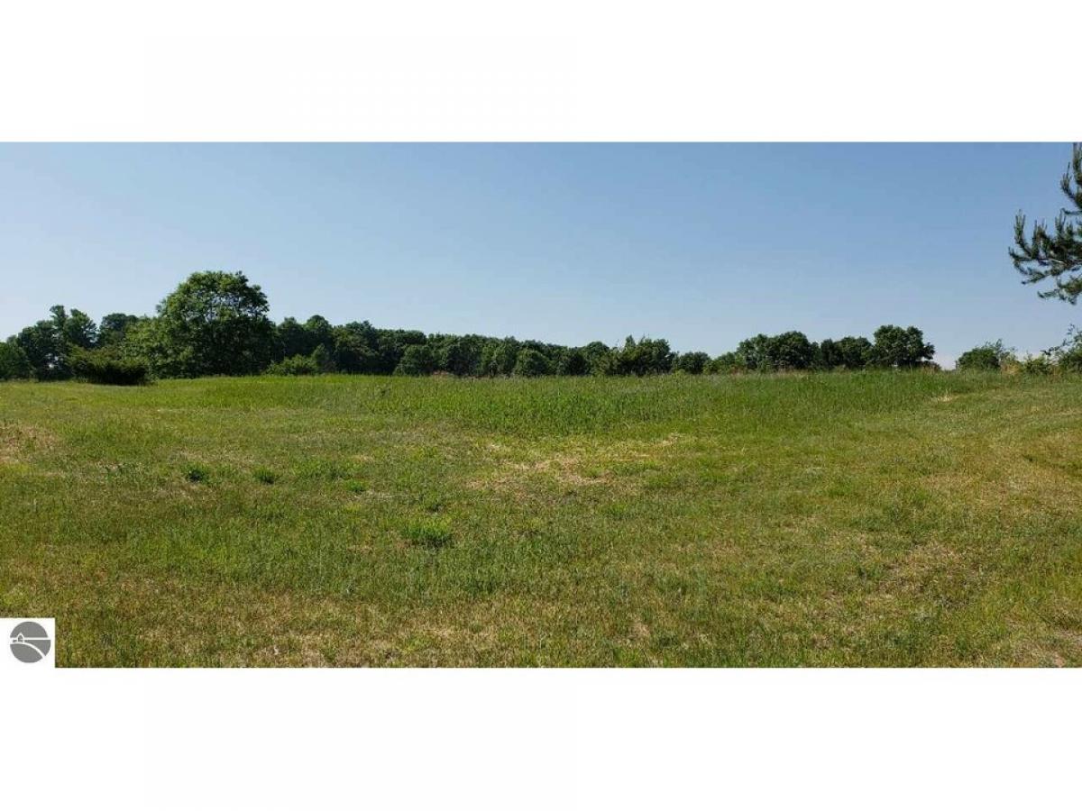 Picture of Residential Land For Sale in Alden, Michigan, United States