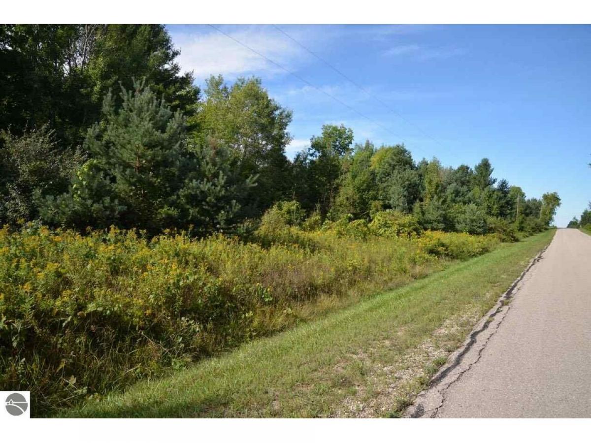 Picture of Residential Land For Sale in Rapid City, Michigan, United States