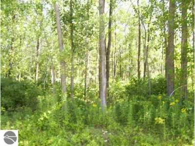 Residential Land For Sale in Au Gres, Michigan