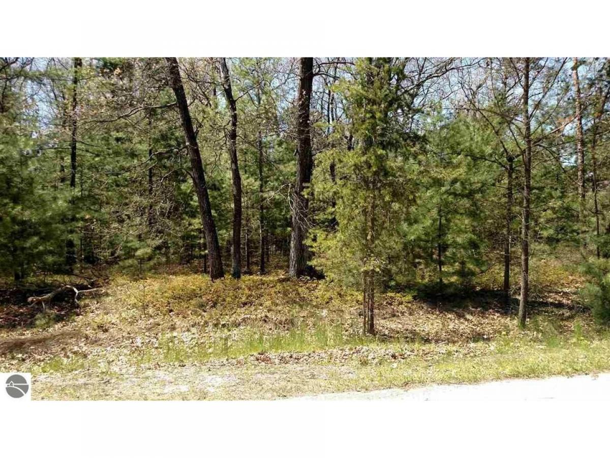 Picture of Residential Land For Sale in Au Gres, Michigan, United States