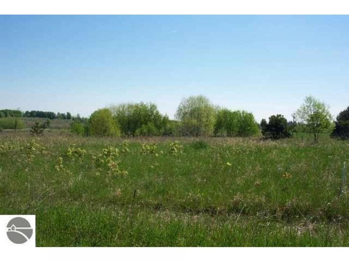 Picture of Residential Land For Sale in Rapid City, Michigan, United States