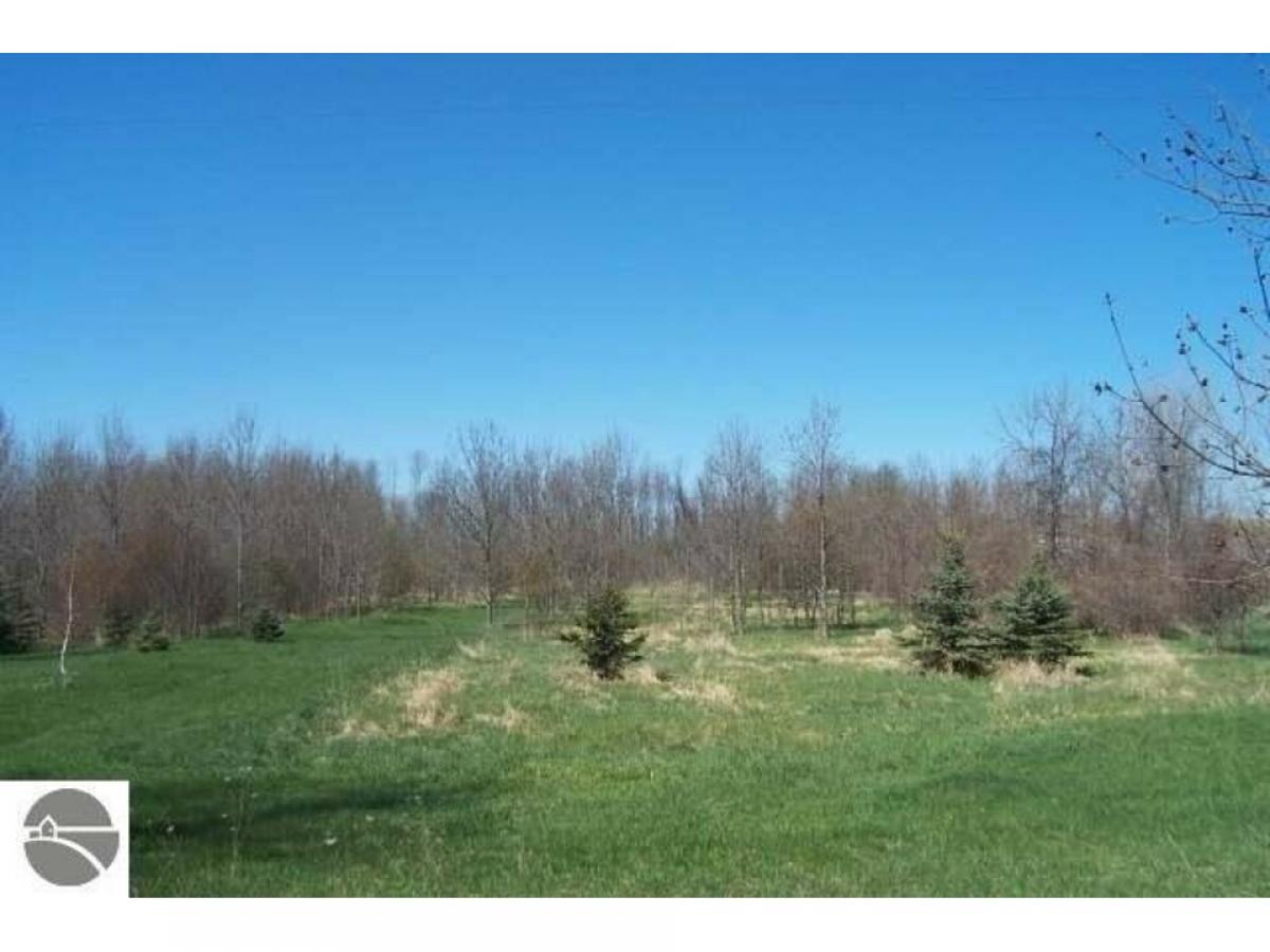 Picture of Residential Land For Sale in Rapid City, Michigan, United States