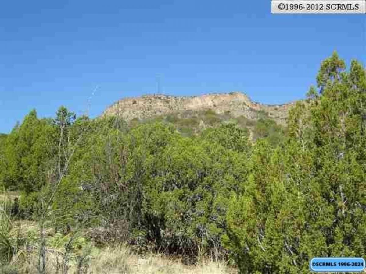 Picture of Residential Land For Sale in Mimbres, New Mexico, United States