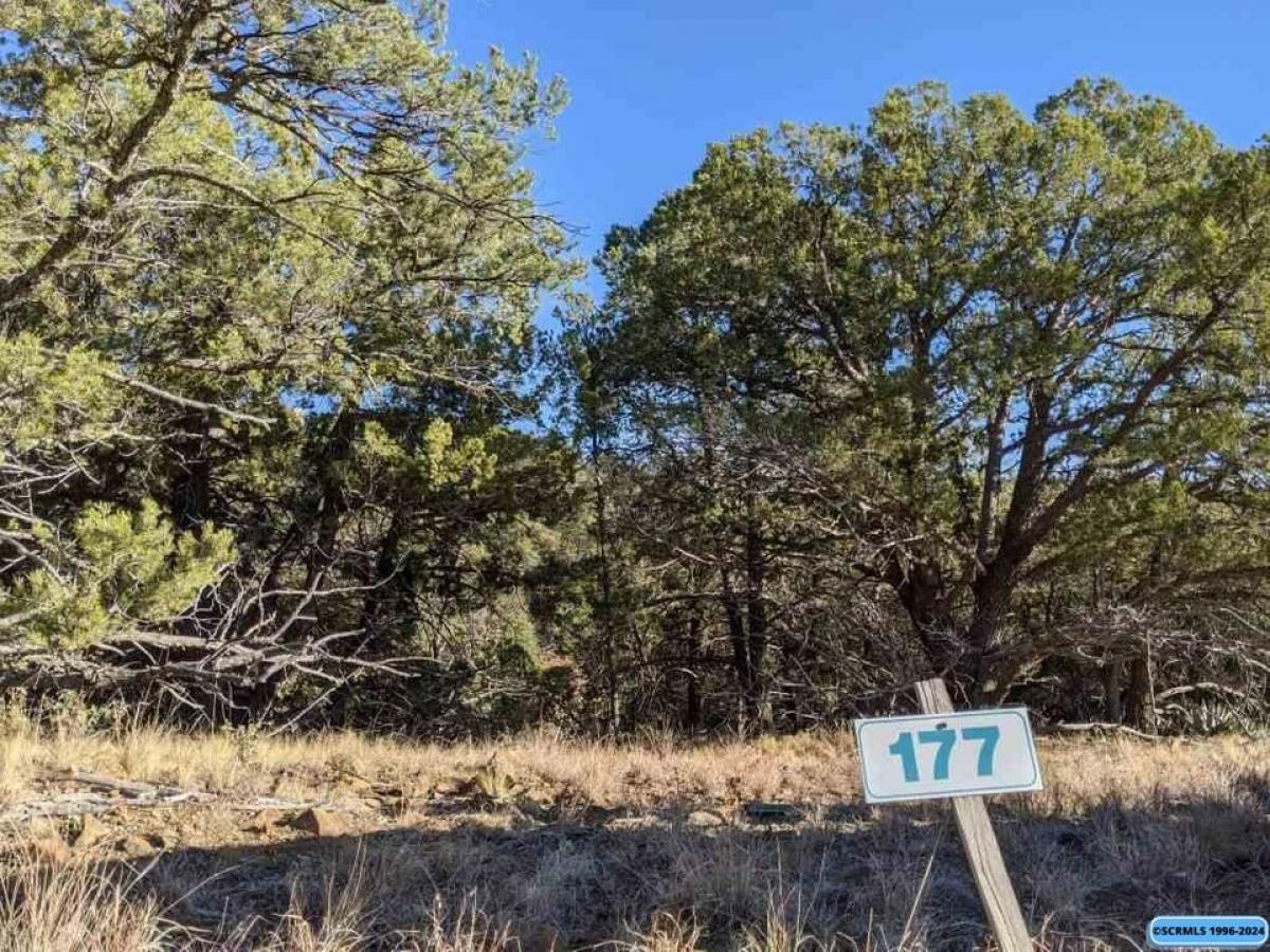 Picture of Residential Land For Sale in Silver City, New Mexico, United States