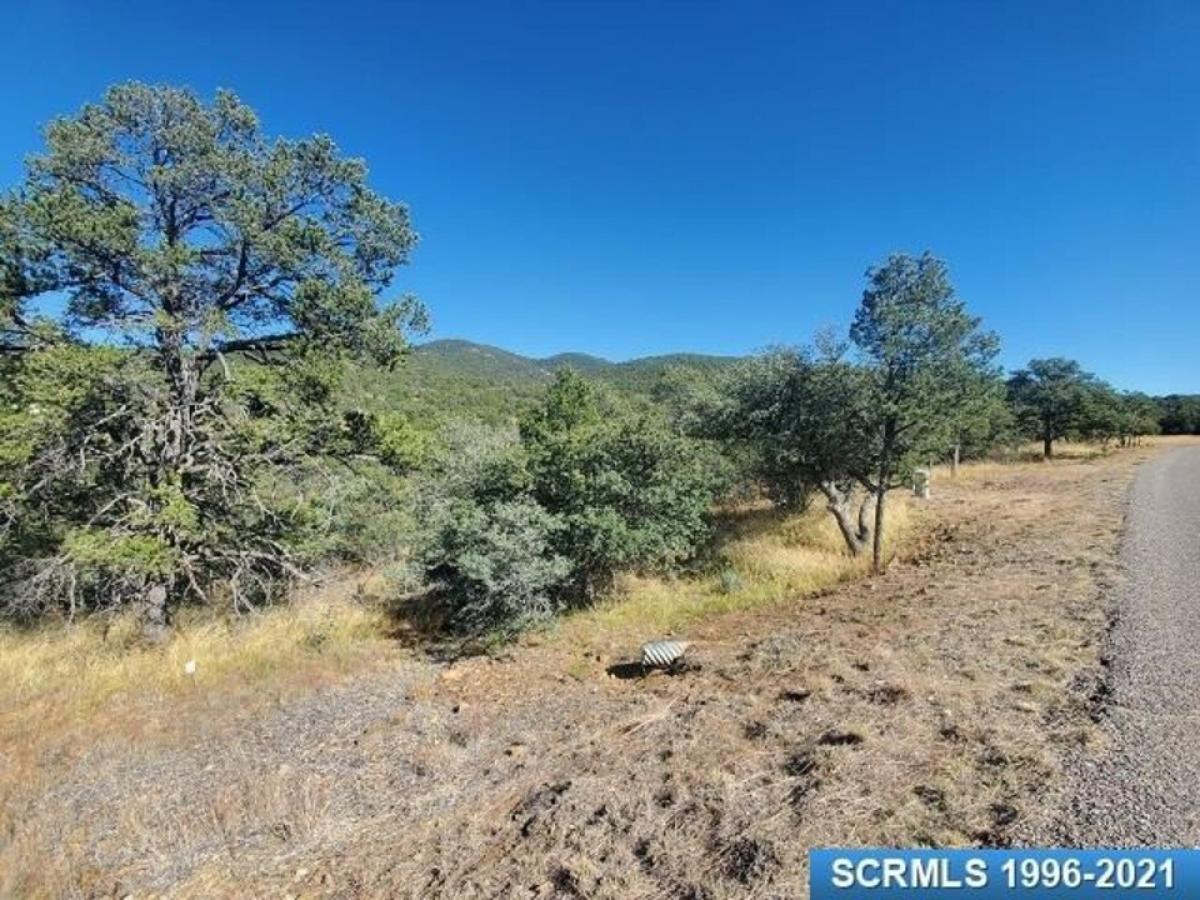 Picture of Residential Land For Sale in Silver City, New Mexico, United States