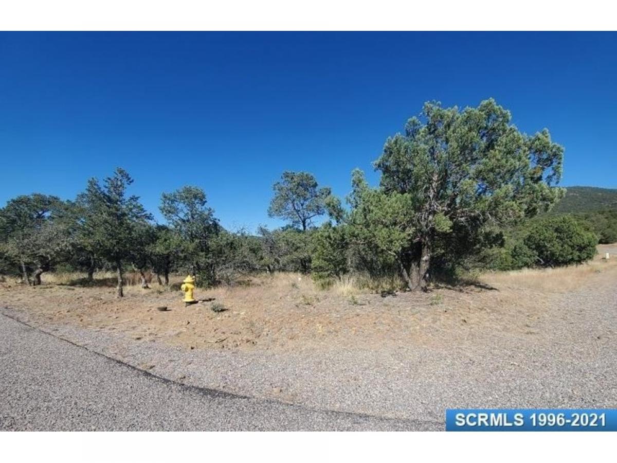 Picture of Residential Land For Sale in Silver City, New Mexico, United States