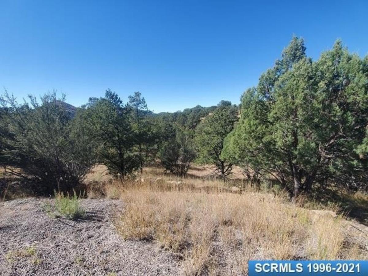 Picture of Residential Land For Sale in Silver City, New Mexico, United States