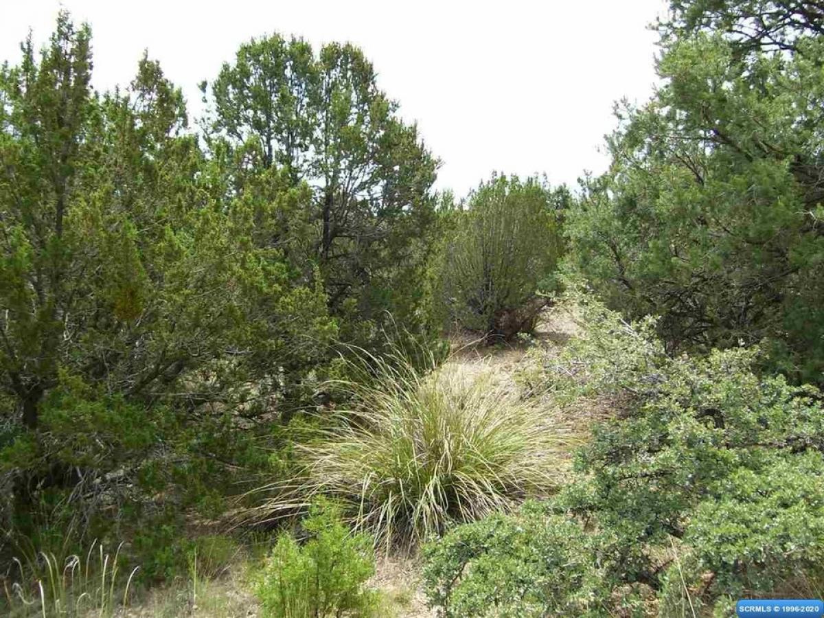 Picture of Residential Land For Sale in Mimbres, New Mexico, United States