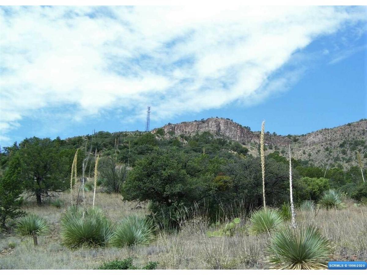 Picture of Residential Land For Sale in Mimbres, New Mexico, United States