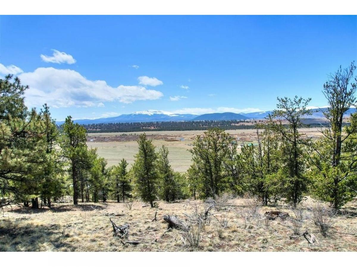 Picture of Residential Land For Sale in Fairplay, Colorado, United States